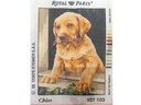 Royal Paris 18x24 Needlepoint Tapestry Kit