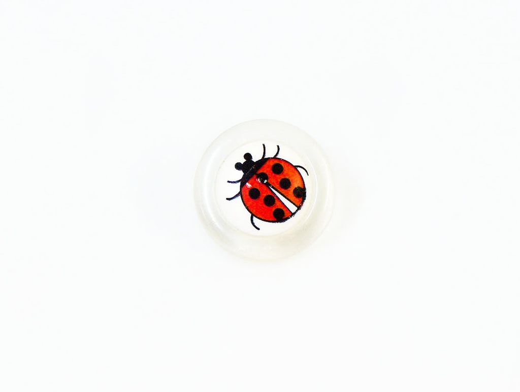 5 Ladybird Buttons